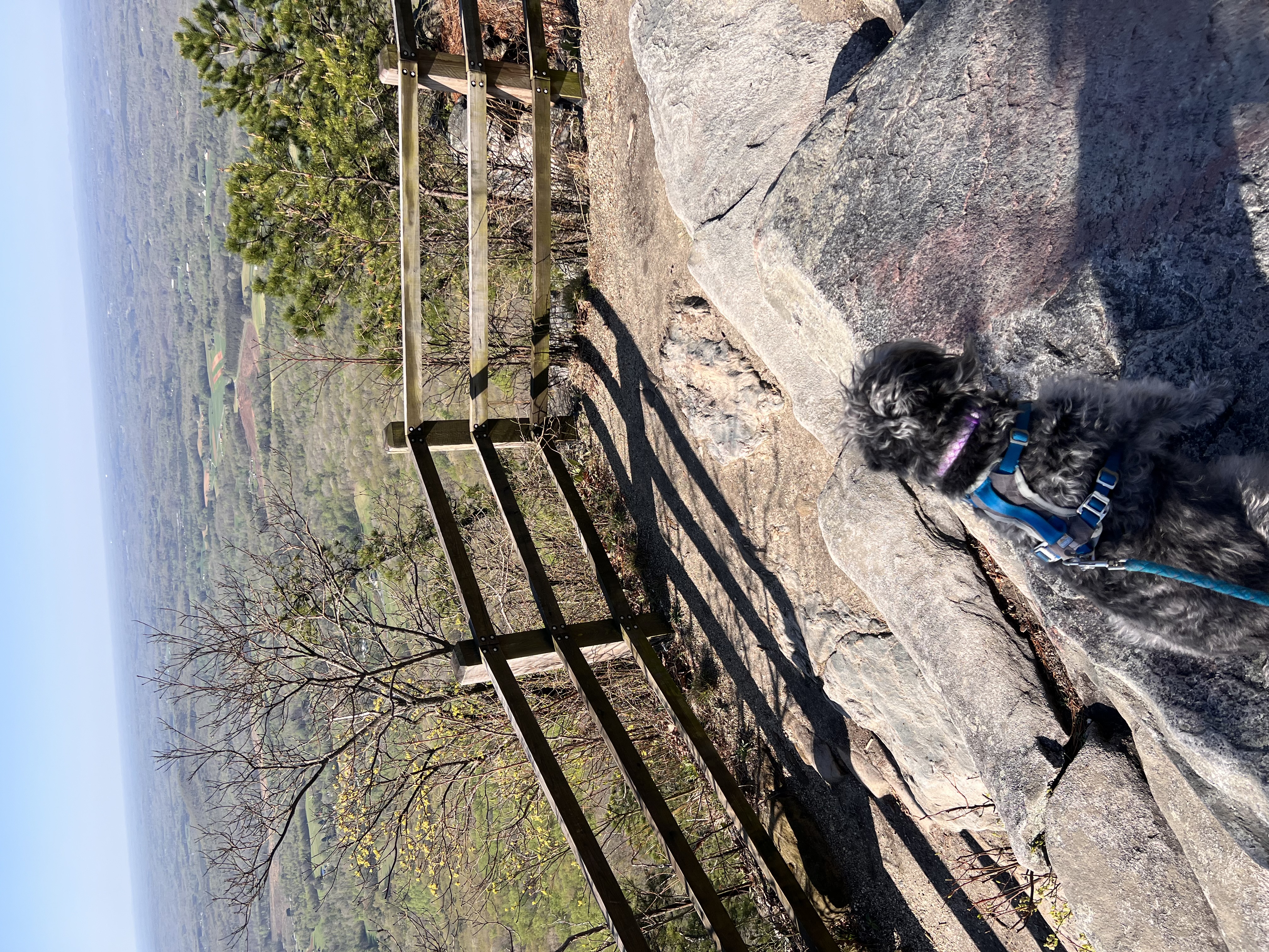 ./2023/05 - Toni Adventures/IMG_3013.JPG